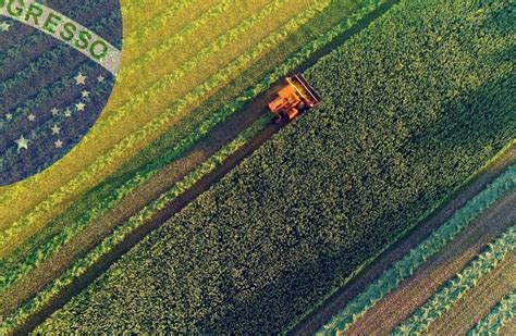 Kuintikylä: 10. vuosisadan Brasiliassa tapahtunut maanviljelystekniikan vallankumous ja sen vaikutus kauppasuhteisiin